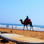 Surf Lessons Experience With Hassi