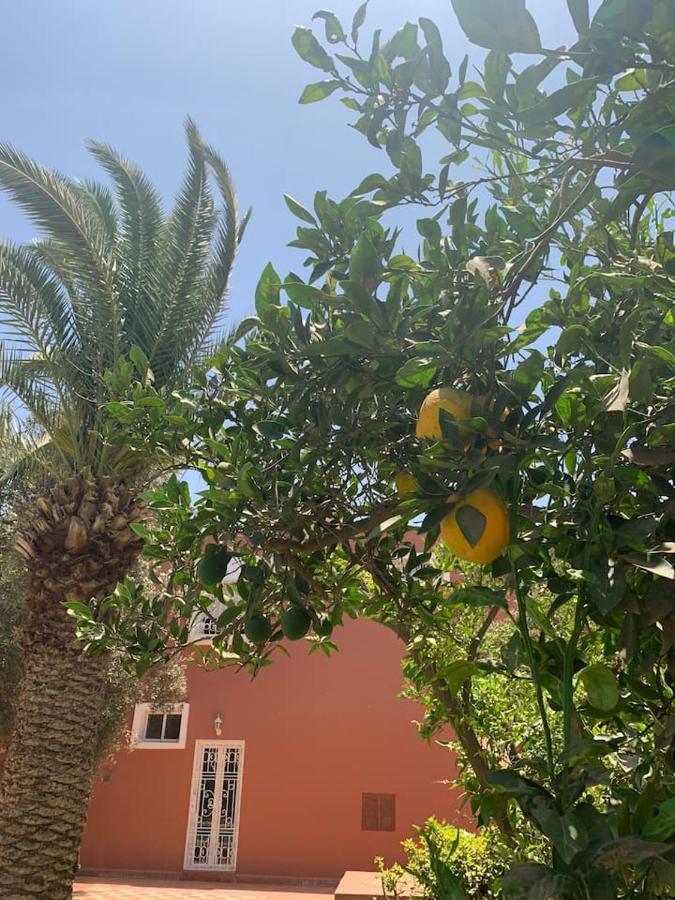 Sherazade Agadir, Petit Dejeune Offert *