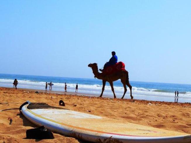 Surf Lessons Experience With Hassi * Agadir