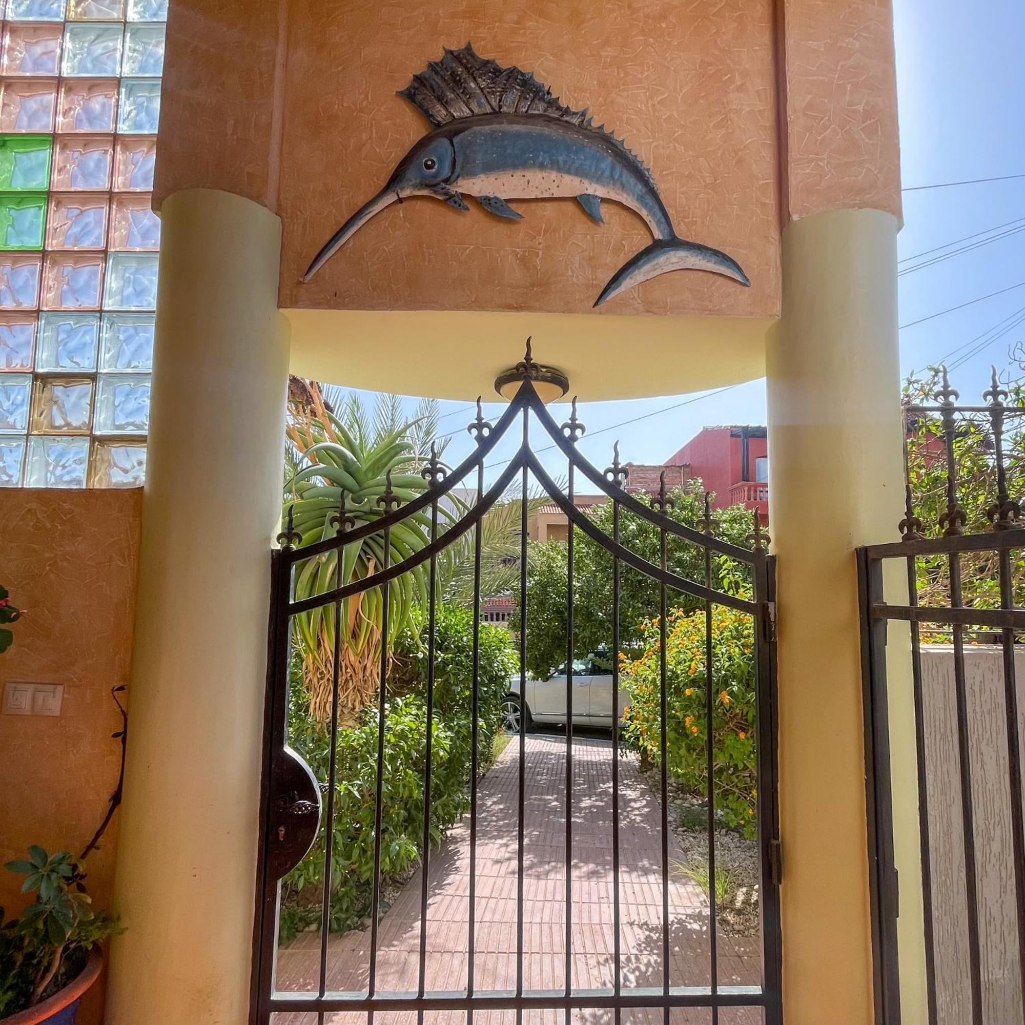 Surf And Hike With Moroccan Break Agadir
