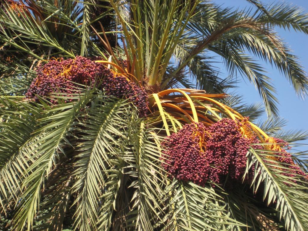 Bed & Breakfast La Porte Des Etoiles Agadir