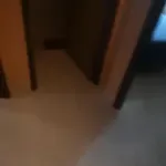الحي المحمدي فال امليل