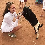 Goats On Argan Trees Experience In Agadir