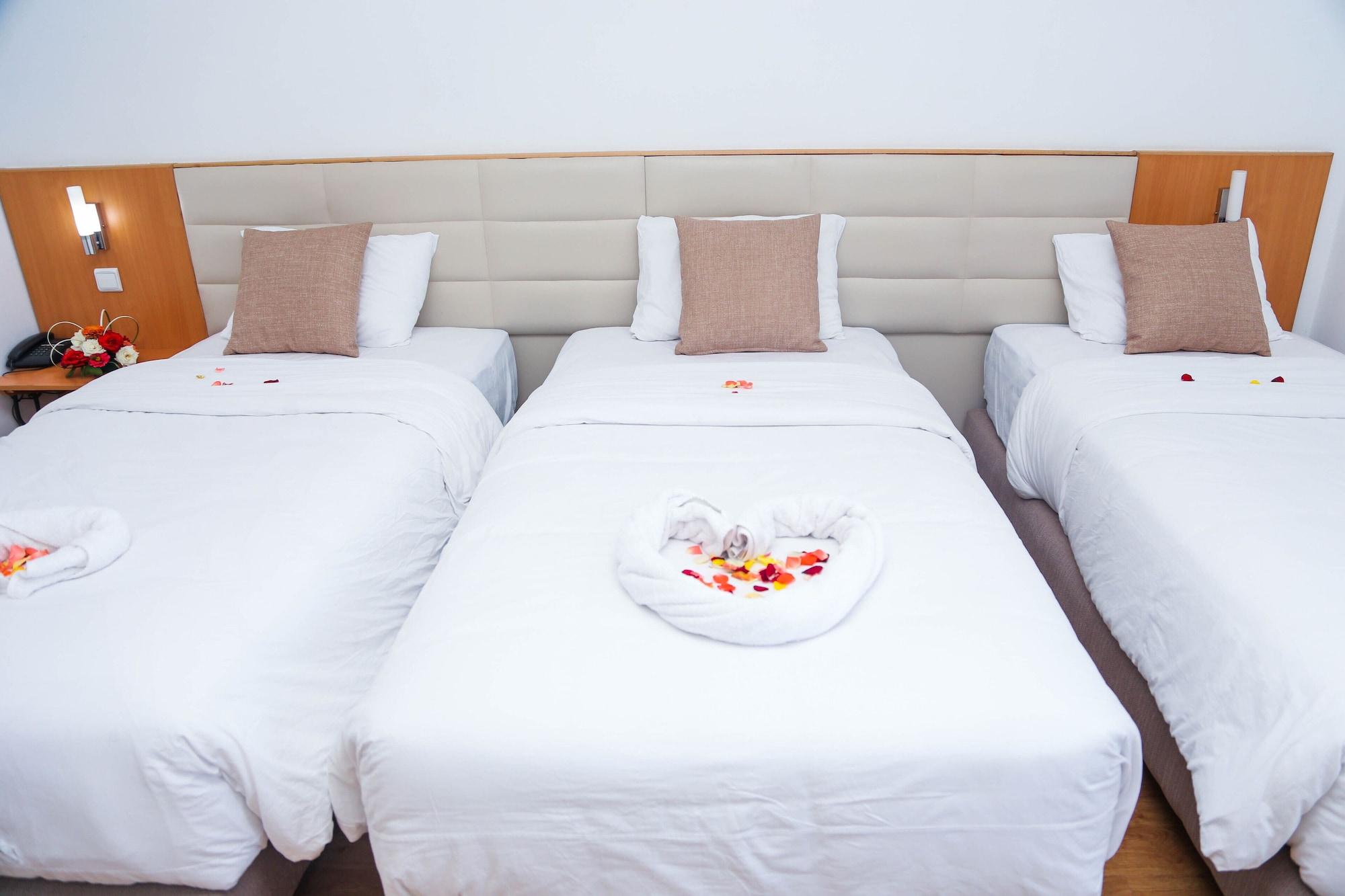 Ibis 3*
