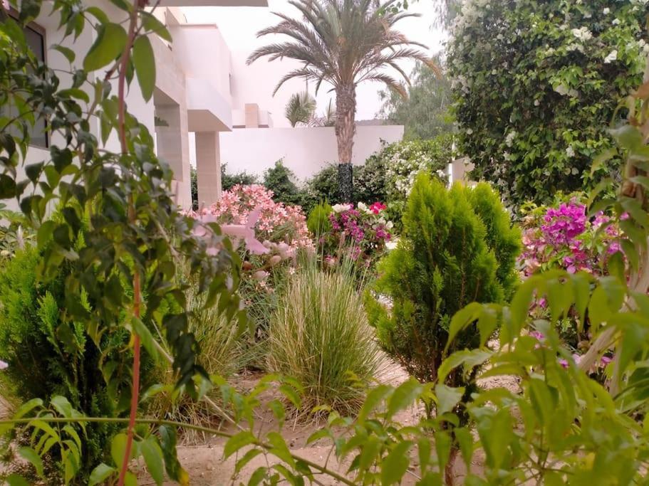 Splendide Anarouz Avec Piscine Villa *