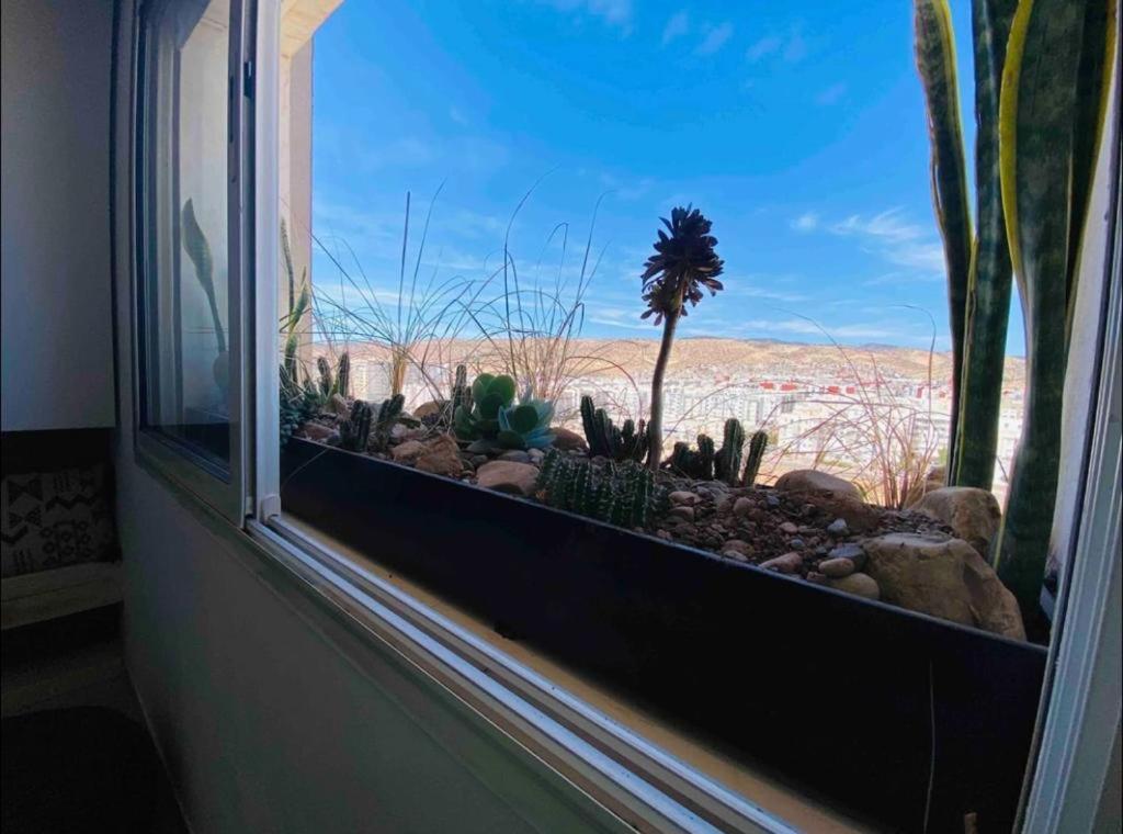 Apartment Sun Rise Islan Appart Agadir