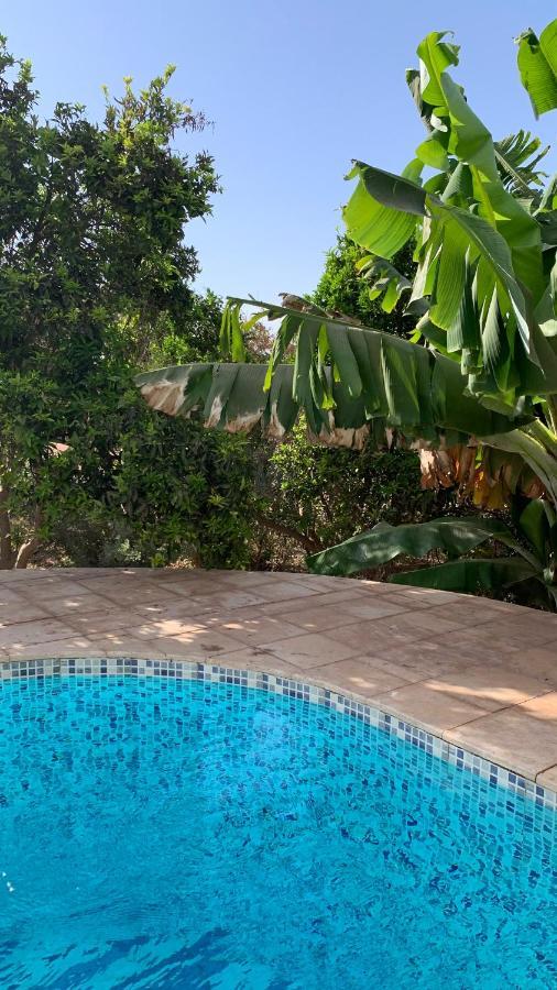 Tiguimi Vacances - Oasis Villas, Cadre Naturel Et Vue Montagne Villa