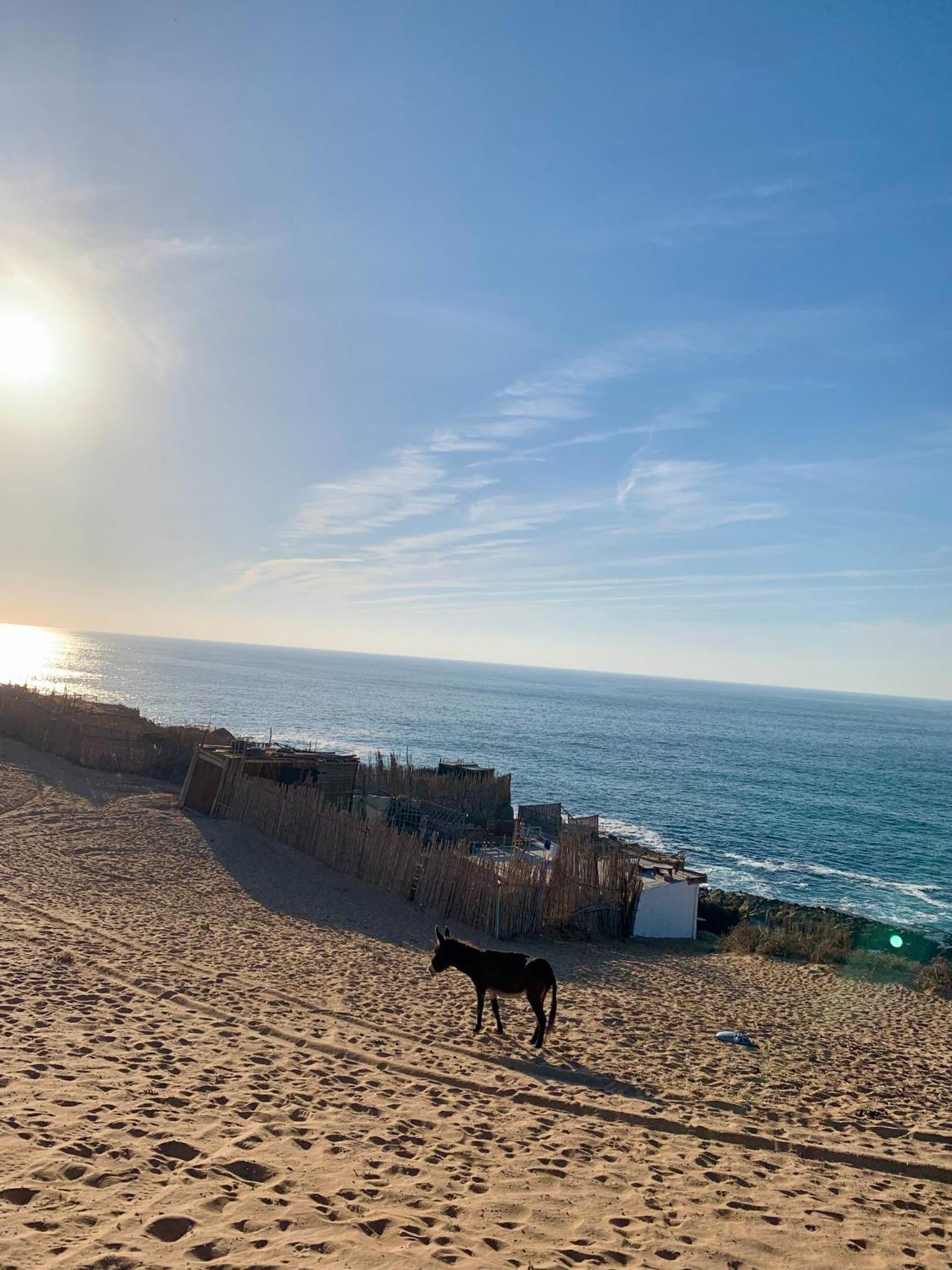 Amaan ⴰⵎⴰⴰⵏ * Agadir