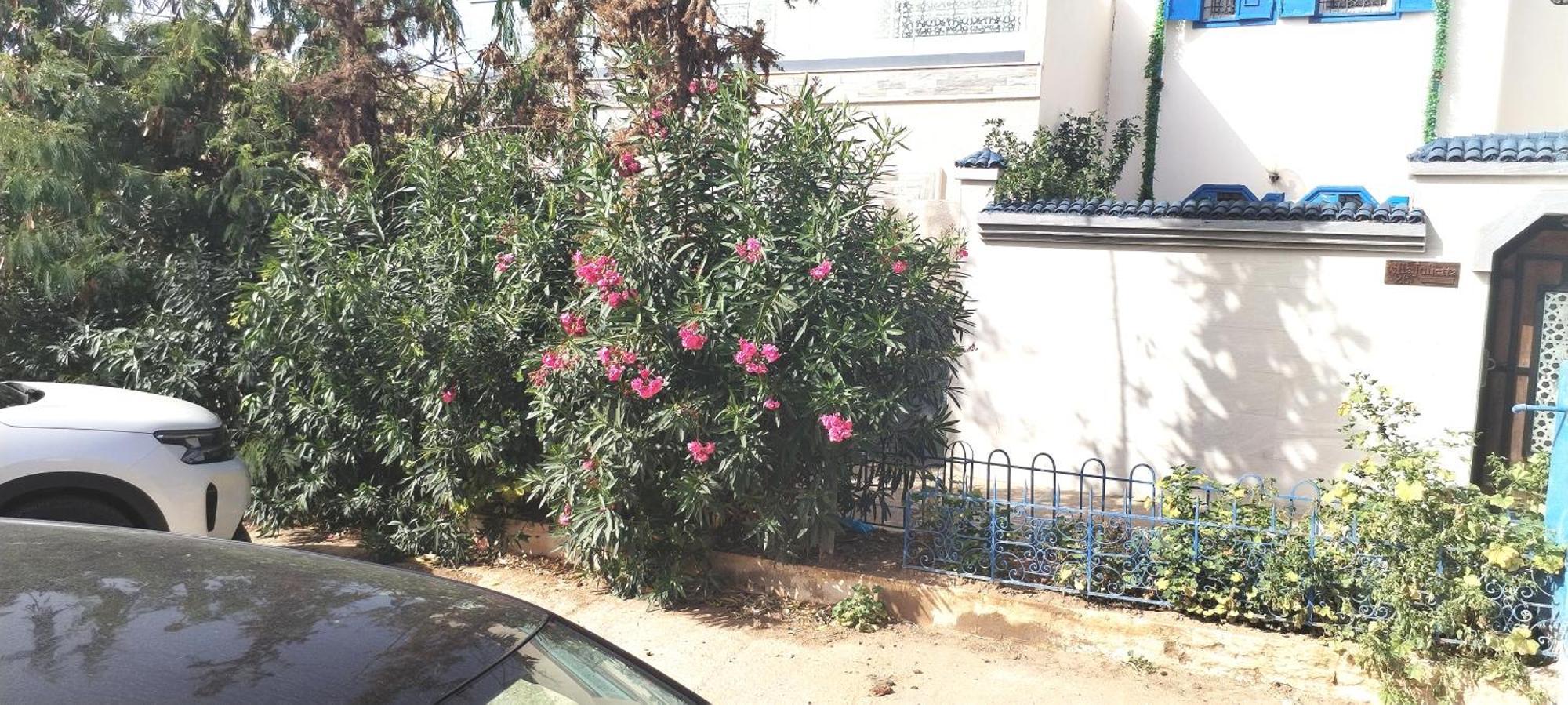 Apartment Jasmine 