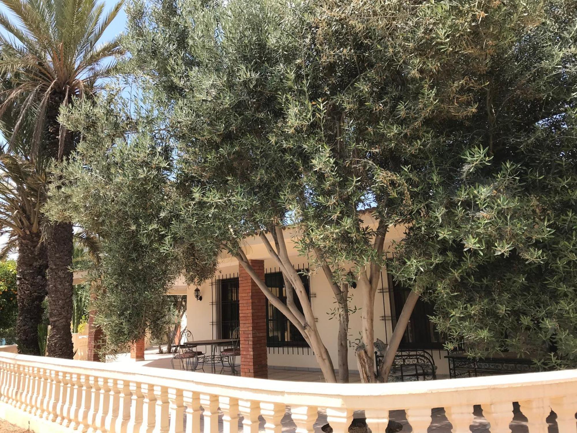 Tiguimi Vacances - Oasis Villas, Cadre Naturel Et Vue Montagne Villa