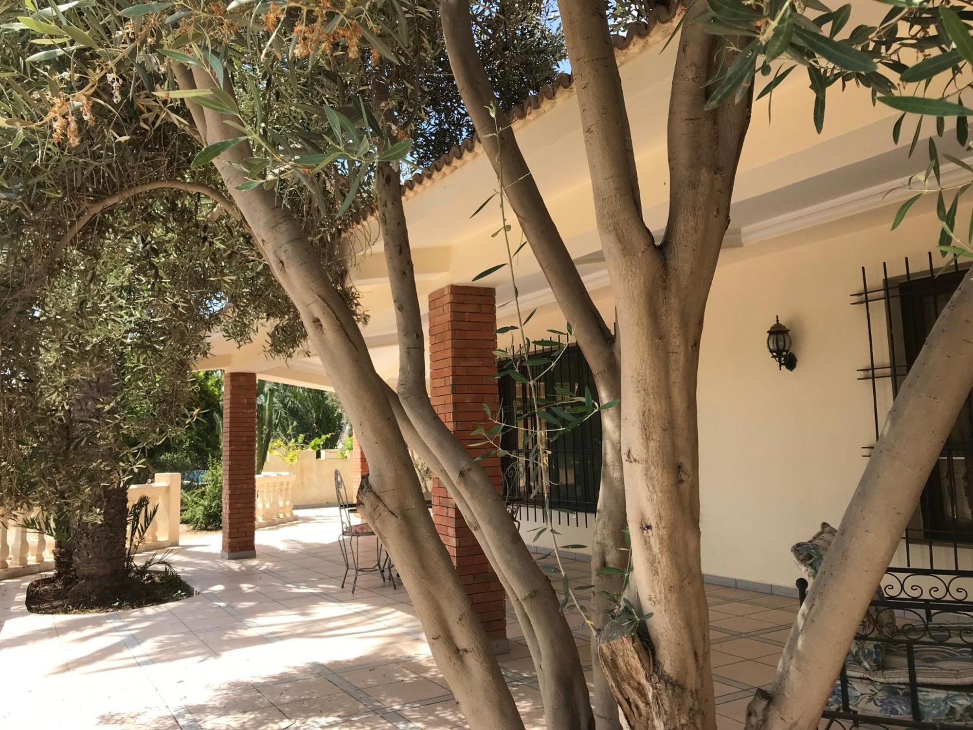 Tiguimi Vacances - Oasis Villas, Cadre Naturel Et Vue Montagne * Agadir