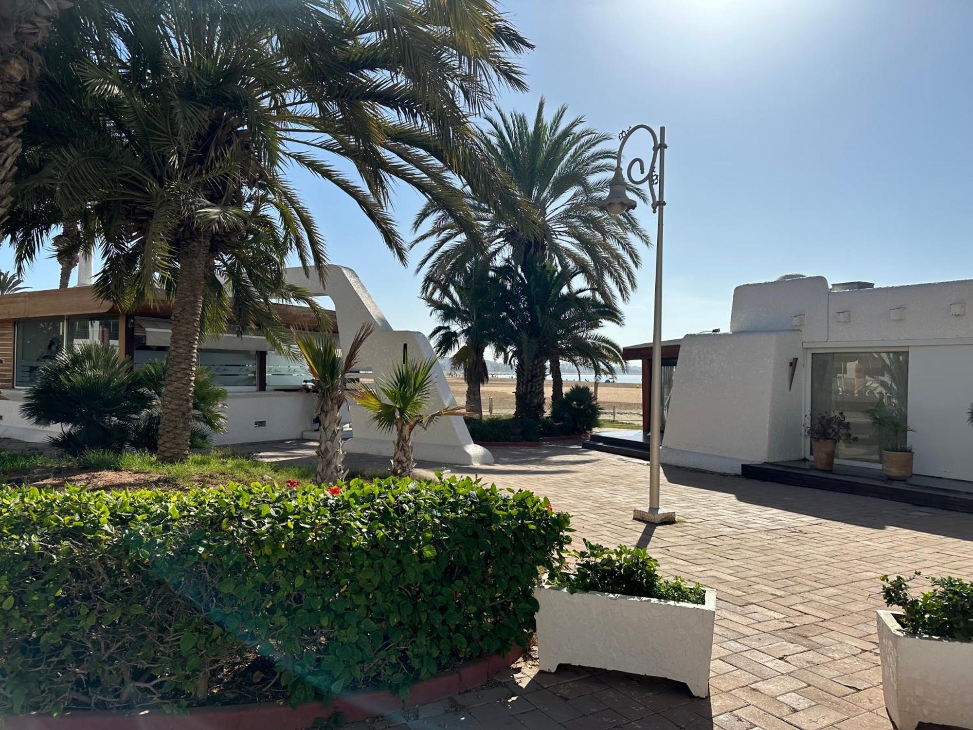 Palmera Marina *