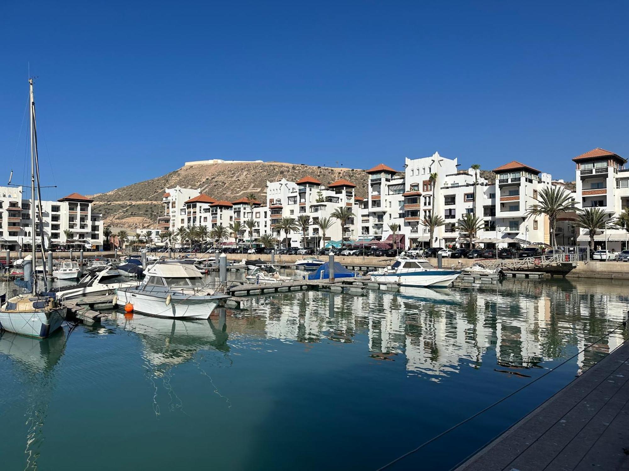 Palmera Marina *