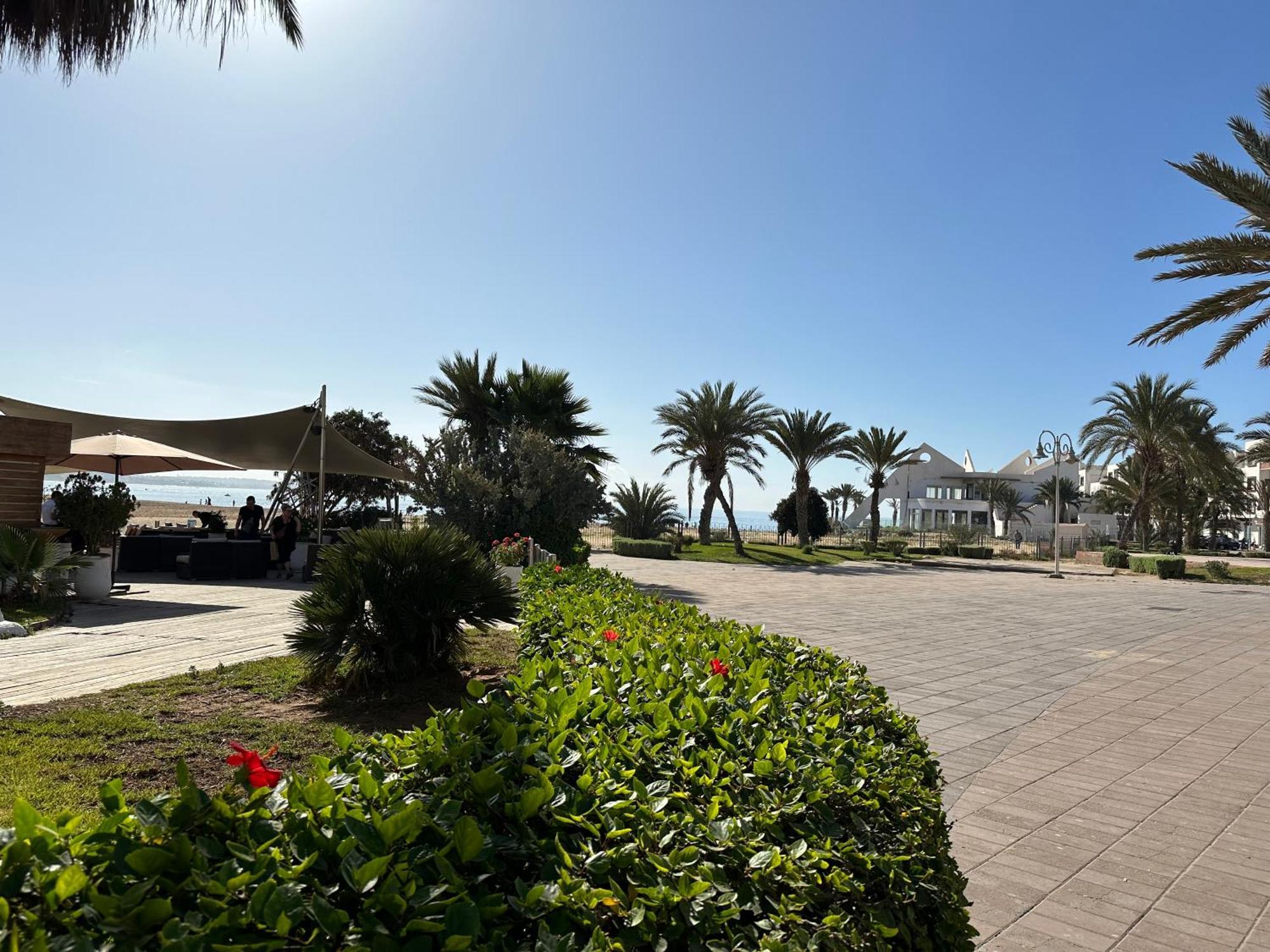Palmera Marina Apartment *
