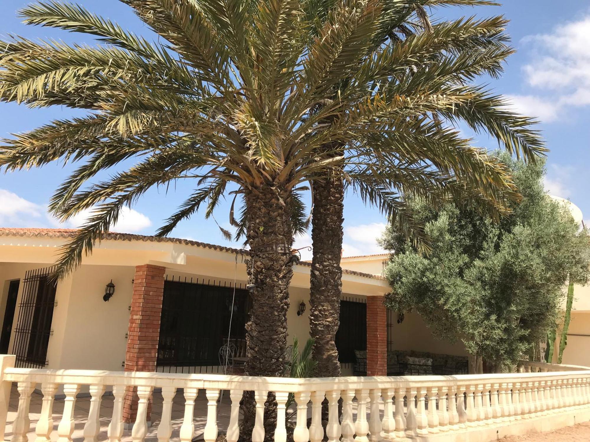 Tiguimi Vacances - Oasis Villas, Cadre Naturel Et Vue Montagne Agadir