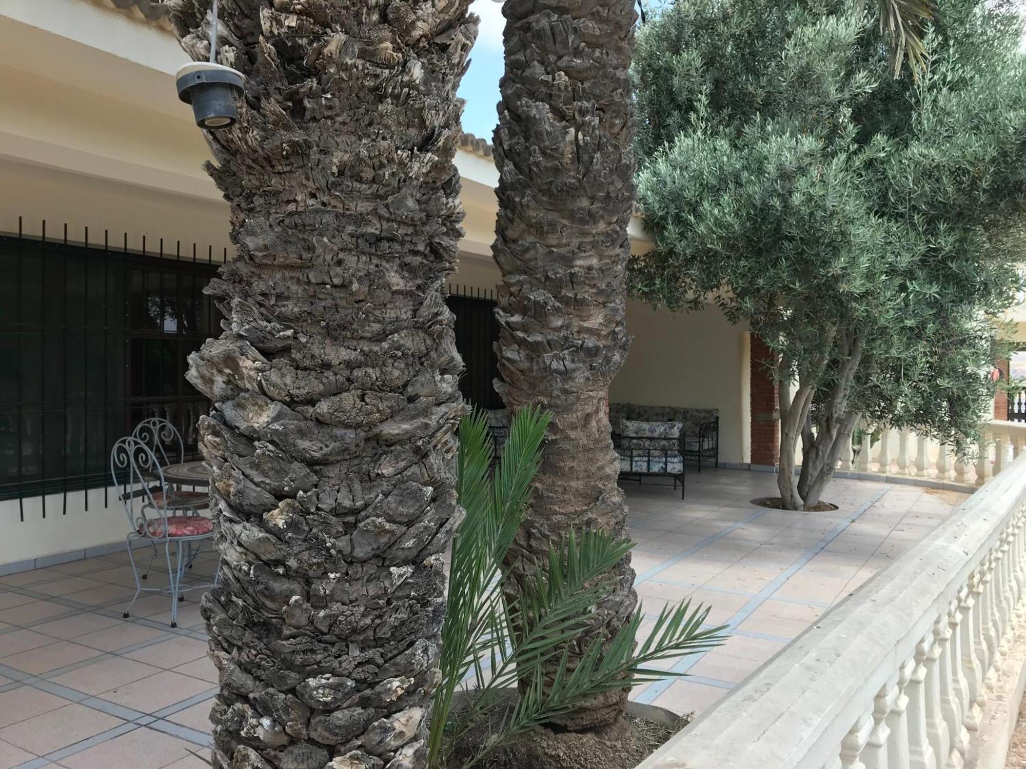 Tiguimi Vacances - Oasis Villas, Cadre Naturel Et Vue Montagne Agadir