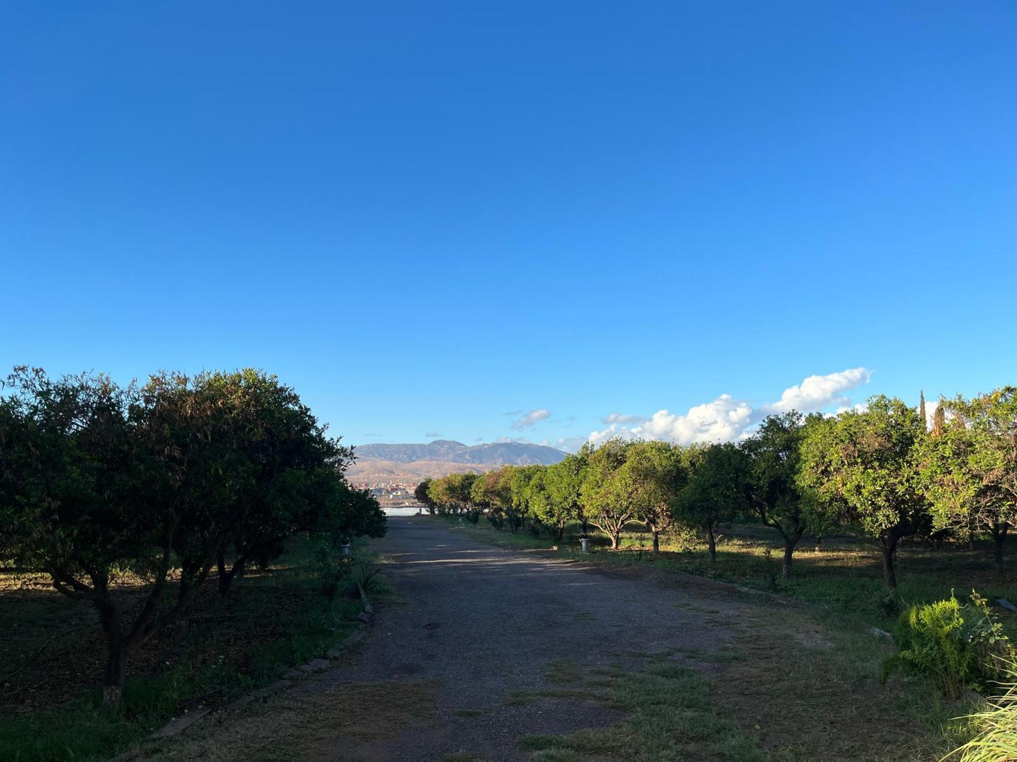 Tiguimi Vacances - Oasis Villas, Cadre Naturel Et Vue Montagne Villa *