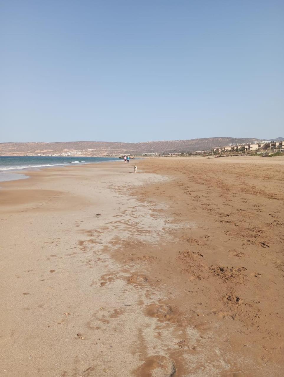 Amal's Agadir