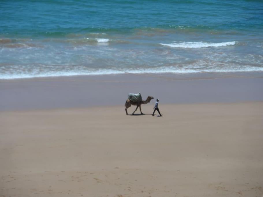 Taghazout Ocean Front Apartment