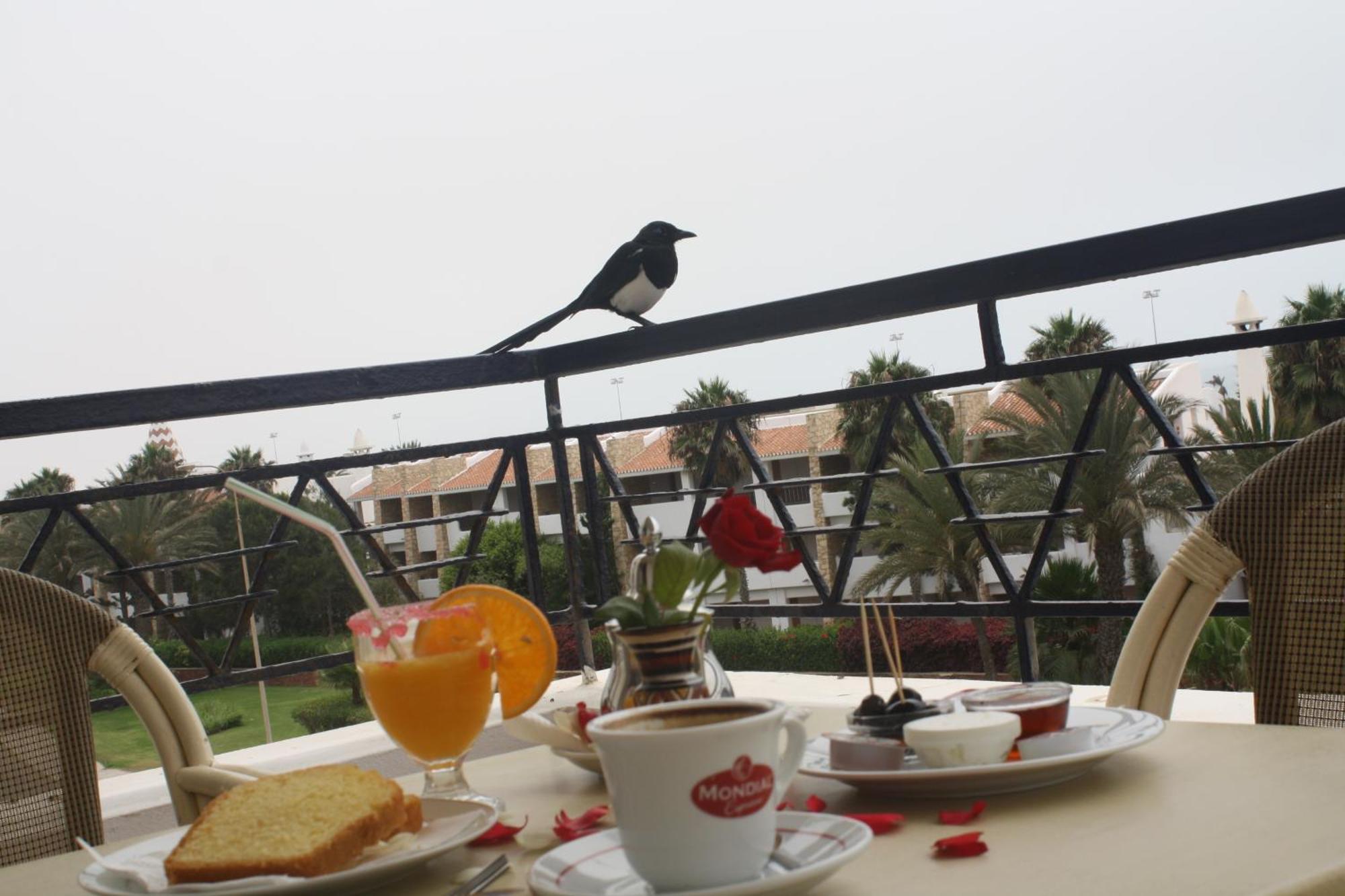 Aparthotel Golden 4*