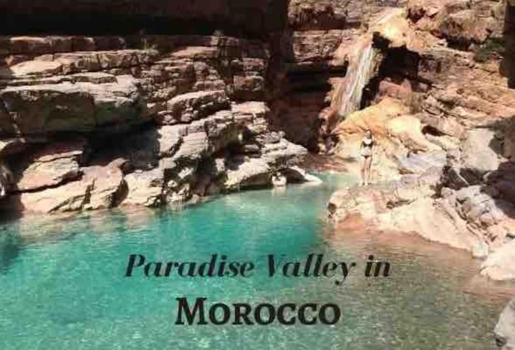 Why Not! * Agadir