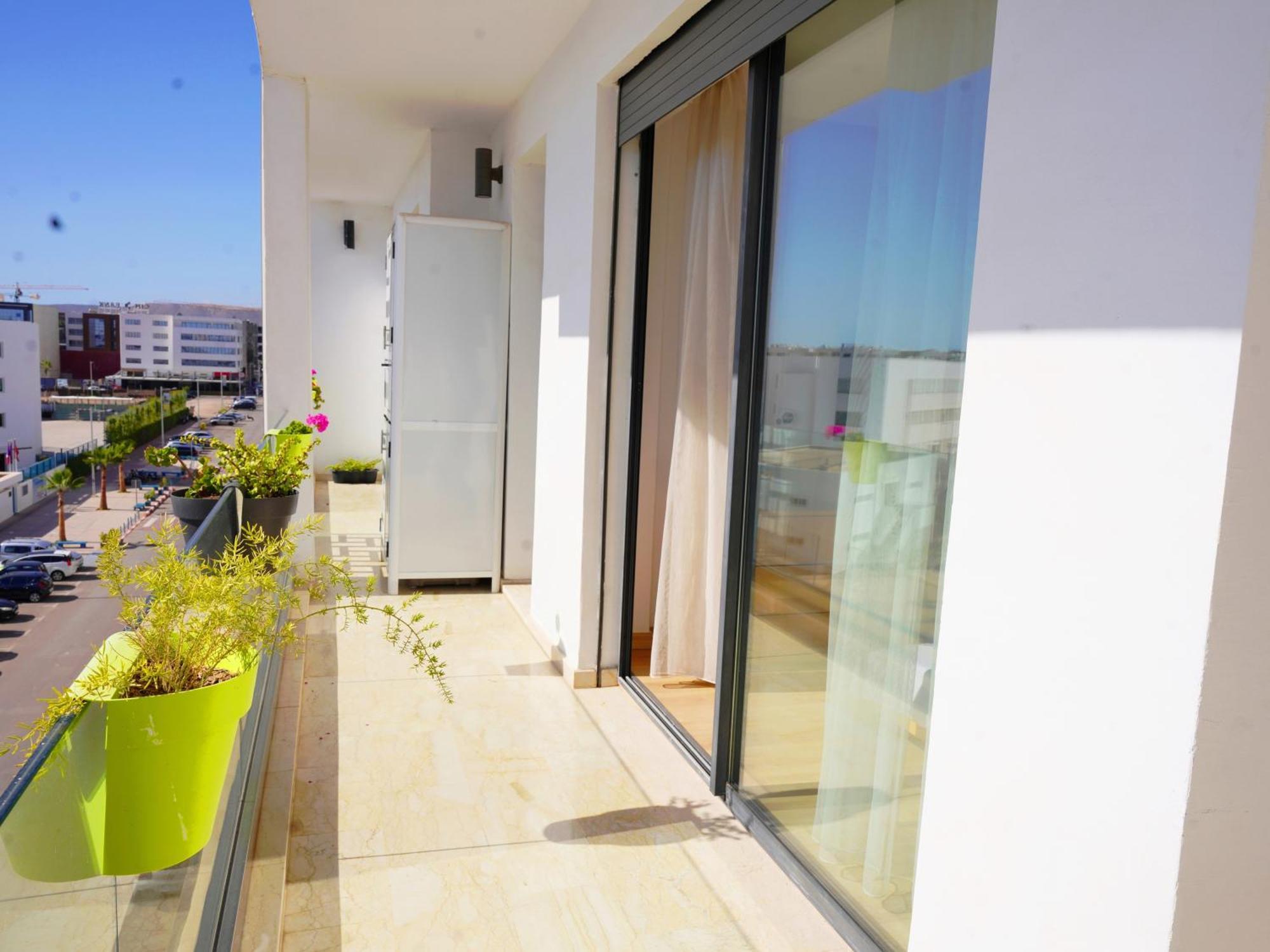 Geronticus Agadir