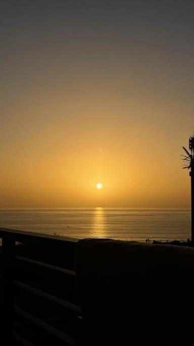 View & Surf *