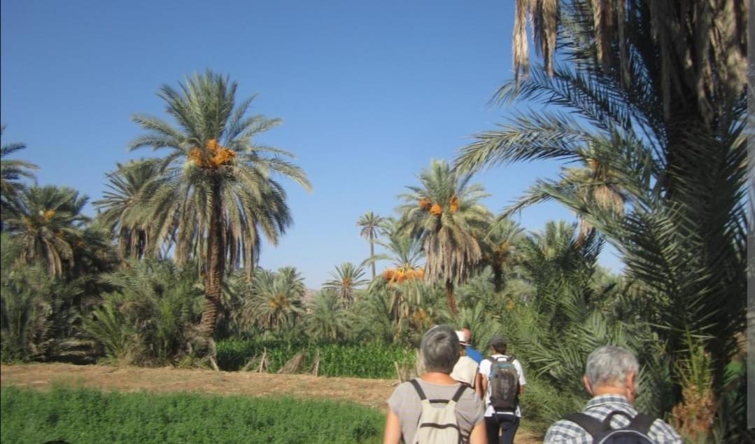 Lhamra 2* Agadir
