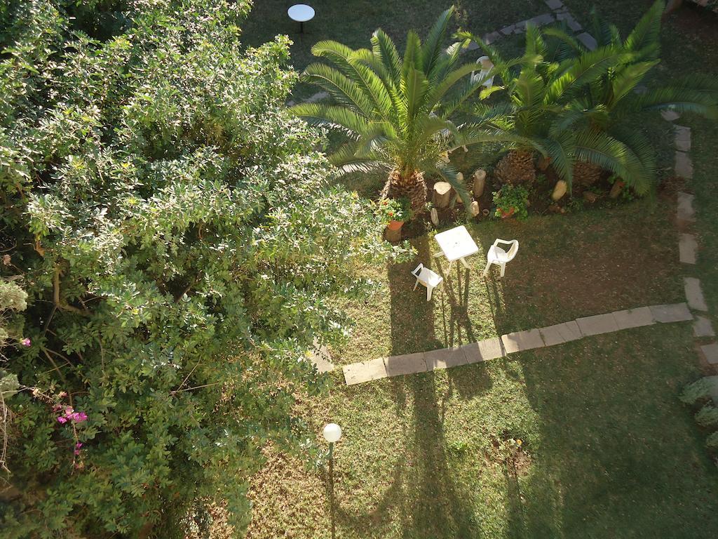 Takad Dream