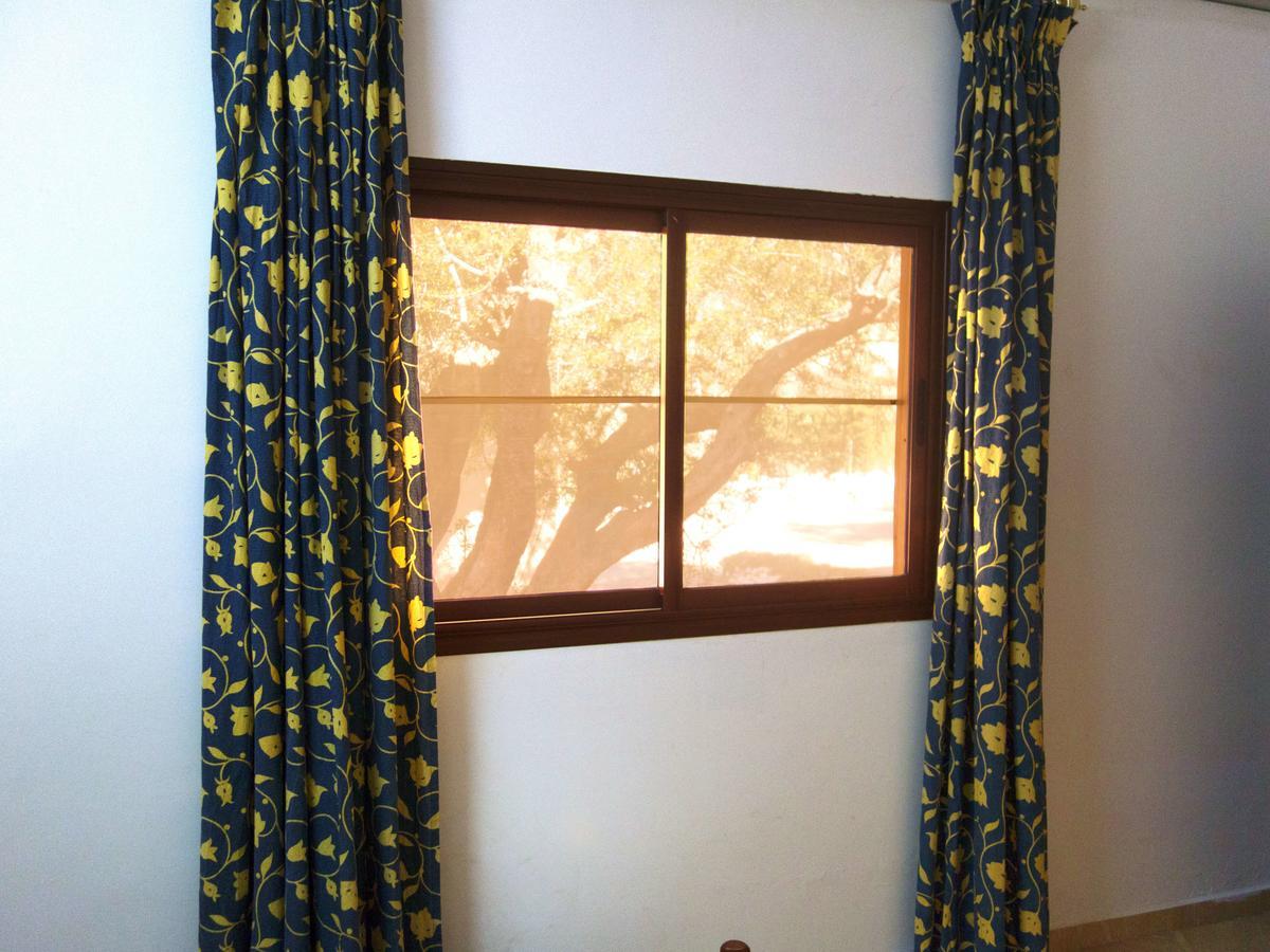 Apartment Aourir *