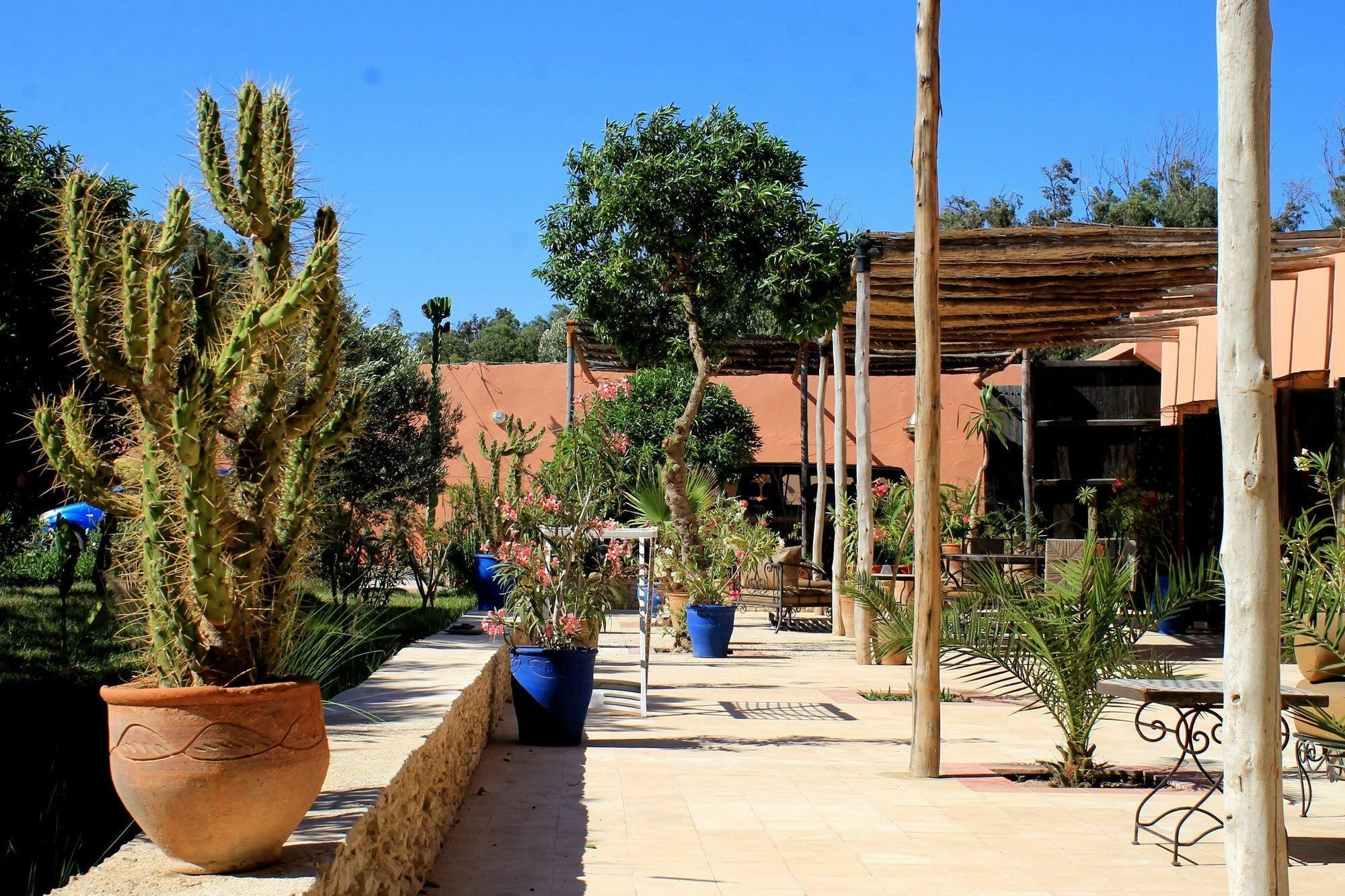 Maison Marocaine Homestay