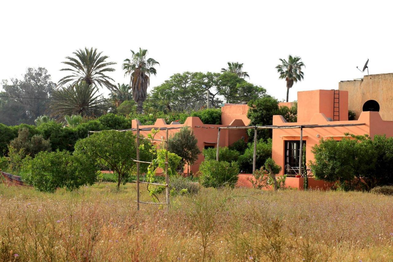 Maison Marocaine *