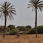 Dar Nawara