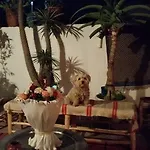 Riad Foutour Sarir