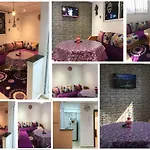 Beaux Studios Estivales A Louer ! A Ne Pas Rater!