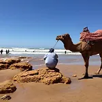 Surf Lessons Experience With Hassi
