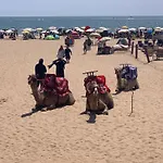 Luxury Apartment In Agadir Bay
