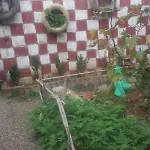 Chez Fatima