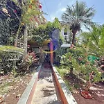 الشرف