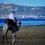 Appartement A Agadir