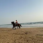 Beau Deux Chambres Taghazout Bay