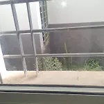 Appartement Invasion