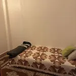 Unique Appartement In Agadir