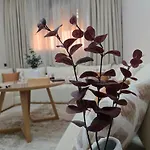 Appartement Propre Bien Situe