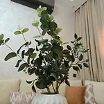 Appartement Propre Bien Situe