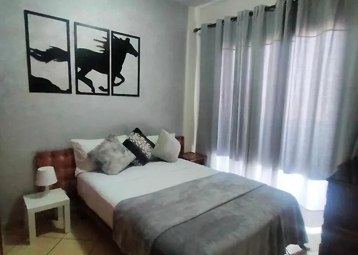 Entire Apartment