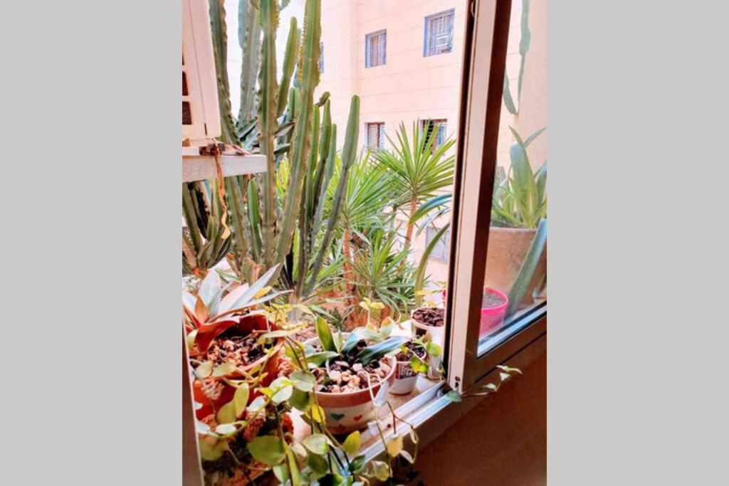 Apartment Ouasis En Plein Centre Agadir