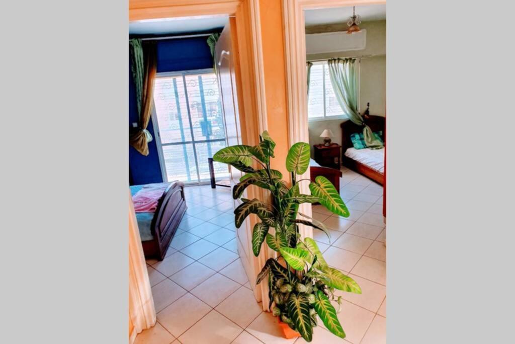 Apartment Ouasis En Plein Centre Agadir
