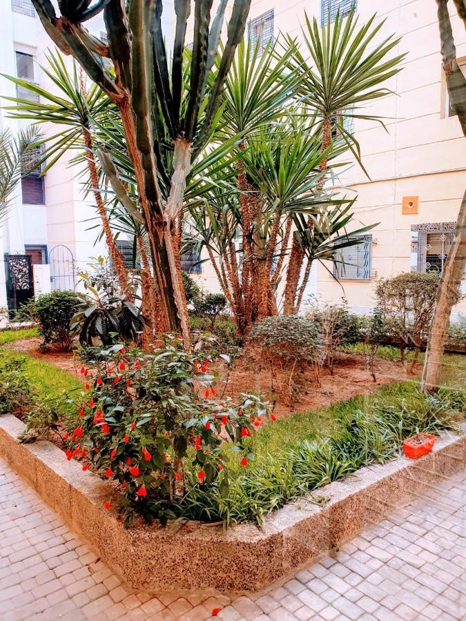Ouasis En Plein Centre Apartment *
