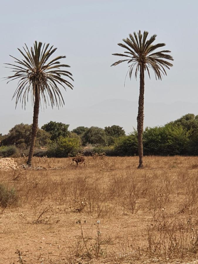 Dar Nawara